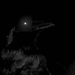 World Collapses Beneath My Feet