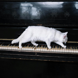 Exercise in the Key of Jazz