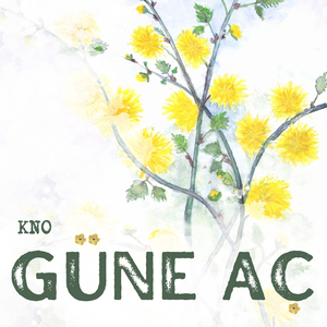 Güne Aç