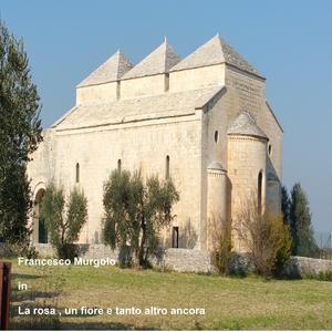 La rosa un fiore e tanto altro ancora