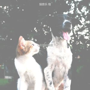 温和小猫梦想
