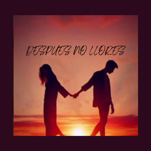 Despues No Llores