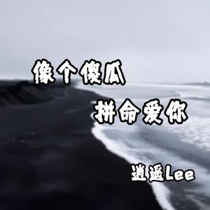 像个傻瓜拼命爱你