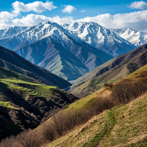 Новый Афган