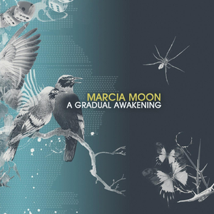 Fear & Possibility of Growth