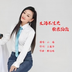 生活不过是柴米油盐