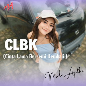 CLBK (Cinta Lama Bersemi Kembali)
