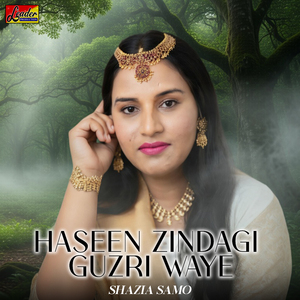 Haseen Zindagi Guzri Waye