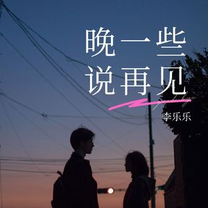 晚一些说再见 (DJ版)