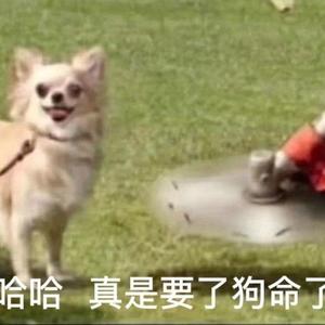 思念是一把刀