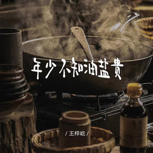 年少不知油盐贵（我祝你风生水起） (DJ阿骏版)