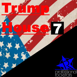 Flex (TIm Rolan Remix)