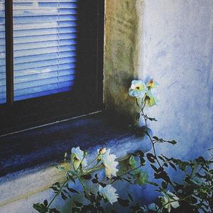 2022，she still adores.