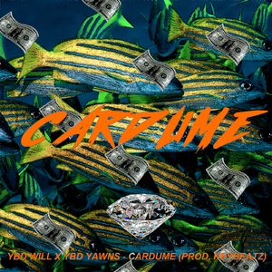 Cardume