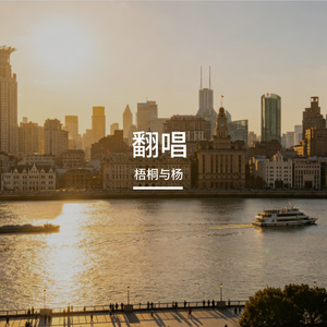 好妹妹乐队-往事只能回味—AI重制（梧桐与杨 remix）