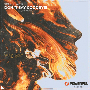 Don´t Say Goodbye! (Acoustic Version)