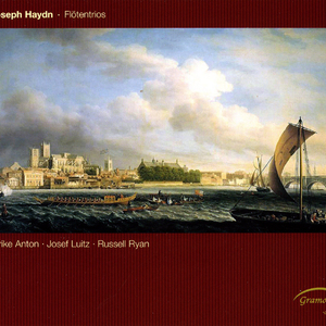 Flute Trio No. 16 in D Major, Hob.XV:16: II. Andantino più tosto Allegretto