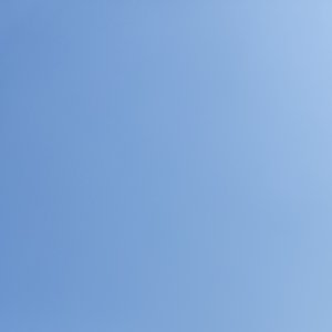 枯树等不到复活