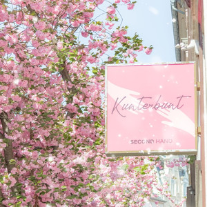 除了春天、爱情和樱花