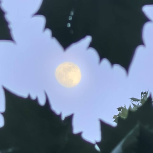 序章 如阳似火调