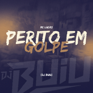 Perito em Golpe