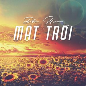 Đồi Hoa mặt Trời