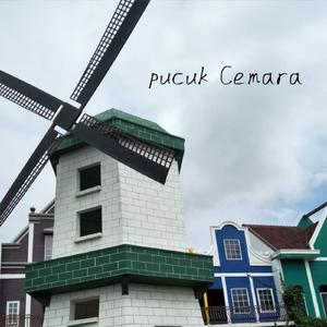 Pucuk Cemara
