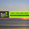 Loving Nature Sound Library - Forest Sunrise Melodies for Motivation