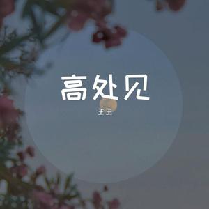 某个心跳（翻自:本兮）