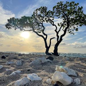 I'm Punishing Myself