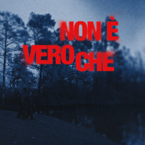 NON È VERO CHE