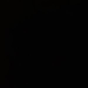 诉-11月19日 上午11点06分