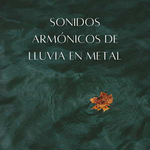 Reverberaciones De Lluvia En Metal Lluvioso