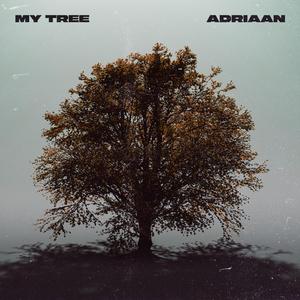 This is my Tree