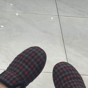 聊天框未发出的晚安