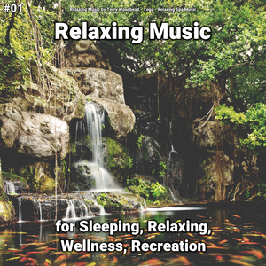 Relaxing Music, Pt. 41