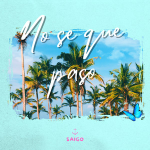 No se que paso (Mashup)