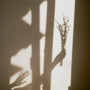 고요하게 시들자