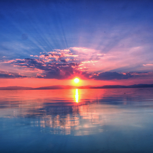 寻找幸福的线索