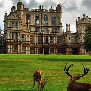 这世界那么多人(披荆斩棘的哥哥live）-Bosco