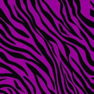 purple tiger