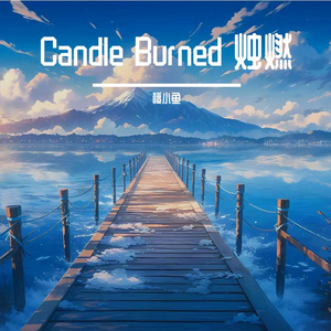 Candle Burned 烛燃
