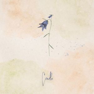 Cradle