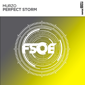 Perfect Storm (Extended Mix)