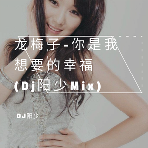 龙梅子-龙梅子-你是我想要的幸福(DjPrince.阳少FutureBassMix)伴奏版（DJ阳少 remix）