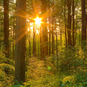 온전한 수면 자장가