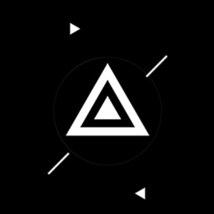 Однотипность