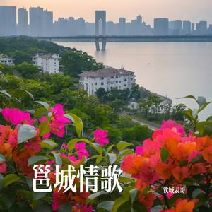 邕城情歌