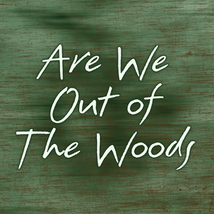 Out Of The Woods (Acoustic)