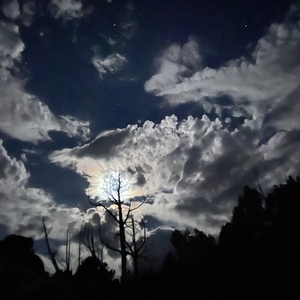 WOAH (feat. echstacy)